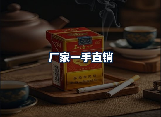 专业团队办公环境